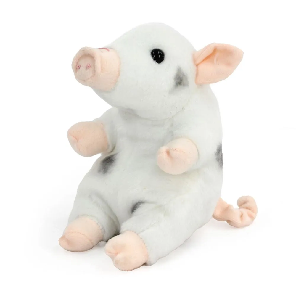 Baby Juliana Piglet