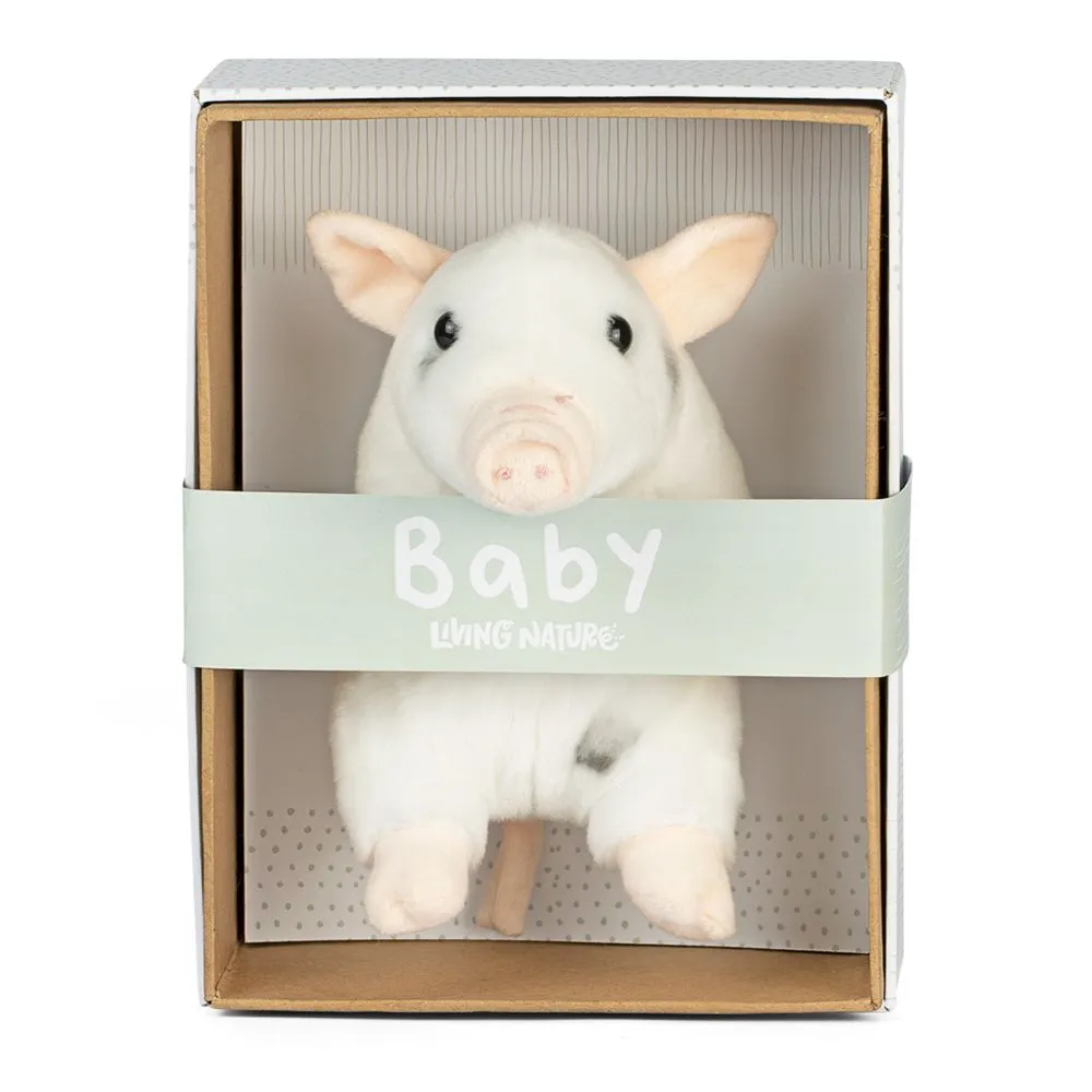Baby Juliana Piglet