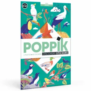 Birds - Poster   Stickers