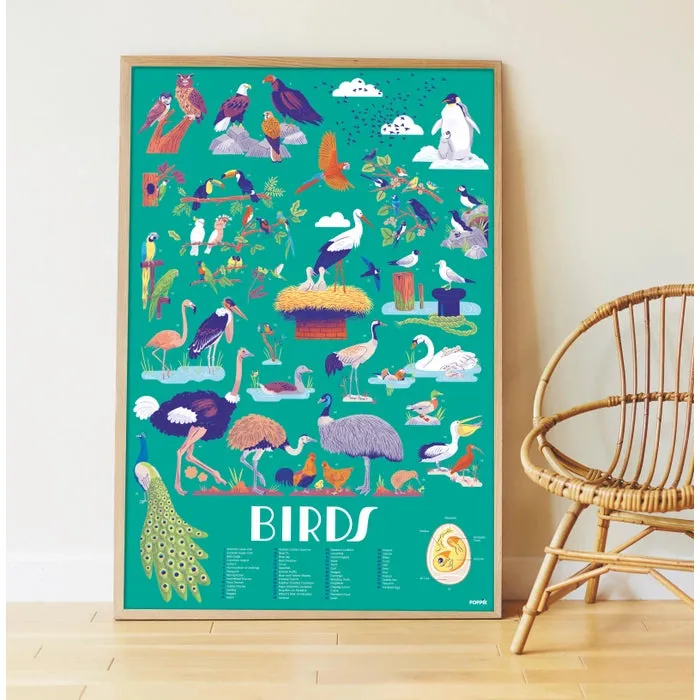 Birds - Poster   Stickers