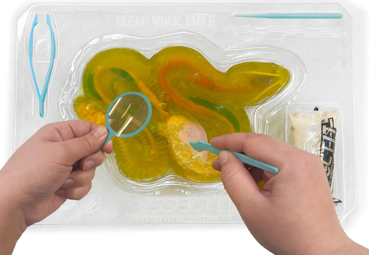 Dissect-It® Rattlesnake Super Lab