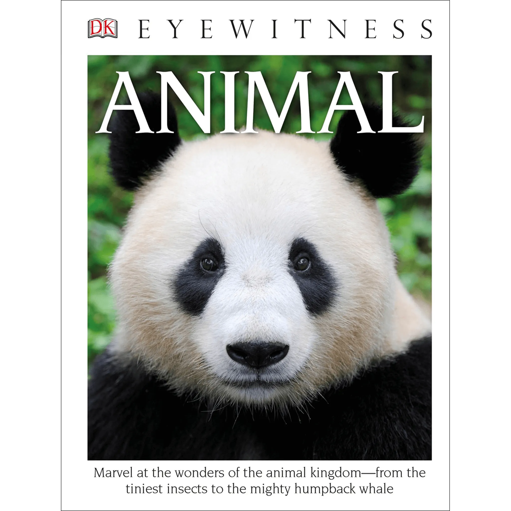 DK Eyewitness Books