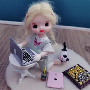 Emulation mini computer