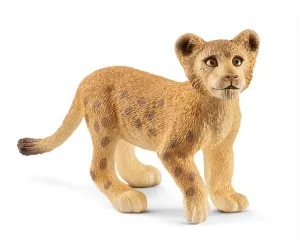 Lion Cub