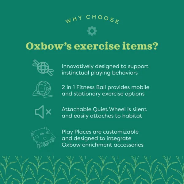 Oxbow Enriched Life - Customizable Play Place