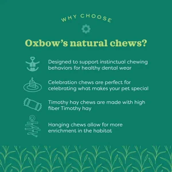 Oxbow Enriched Life - Natural Dangly Party Pack