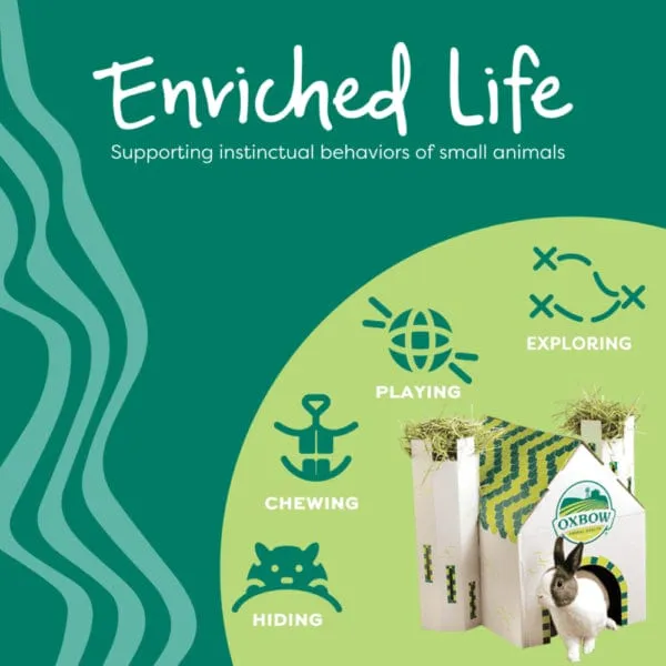 Oxbow Enriched Life - Ox Blocks