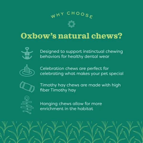 Oxbow Enriched Life - Ox Blocks