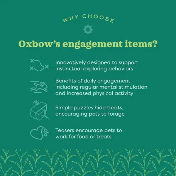 Oxbow Enriched Life - Pyramid Treat Hanger