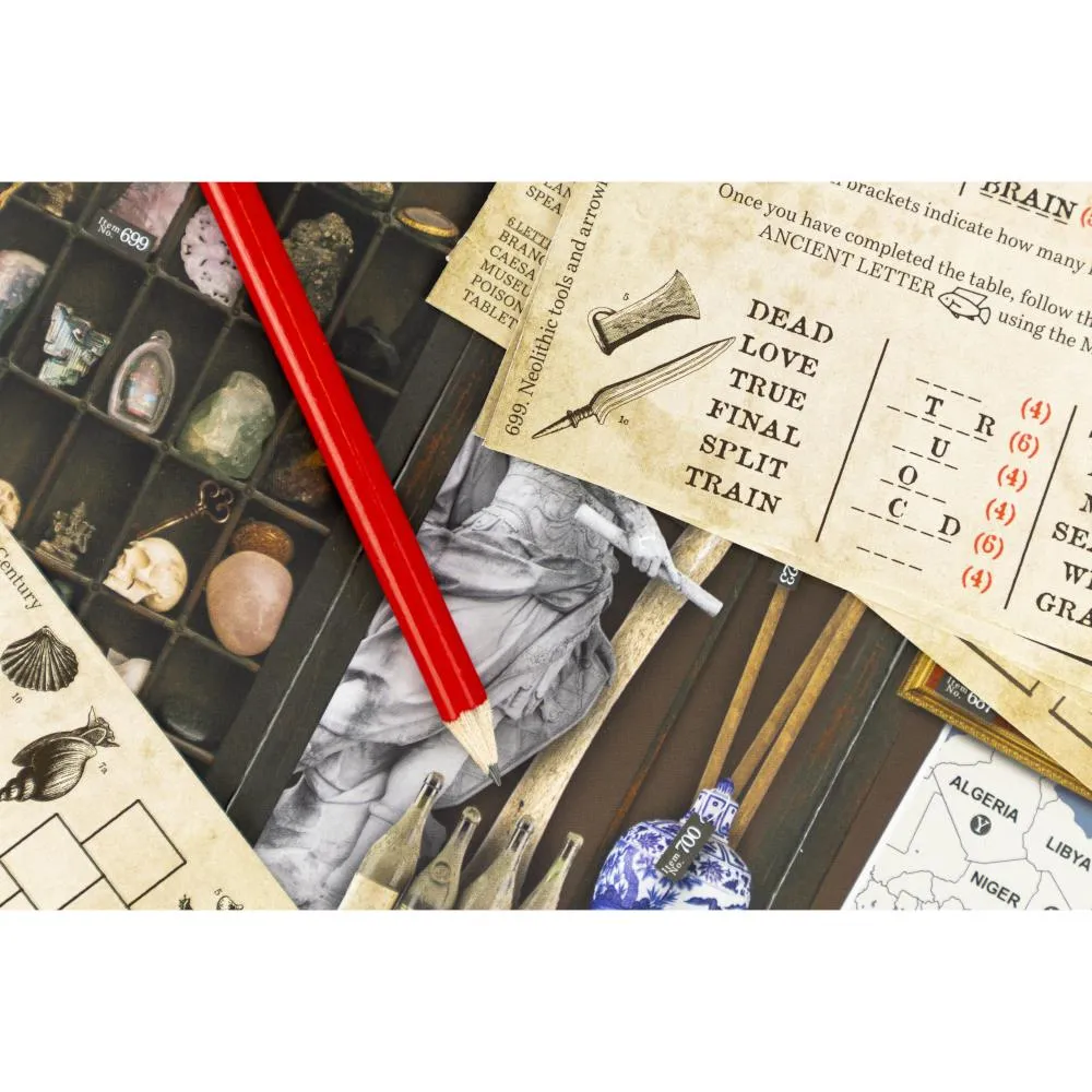 Professor Puzzle Escape from the Museum Game