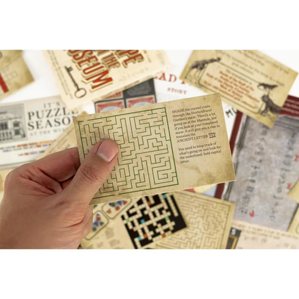 Professor Puzzle Escape from the Museum Game