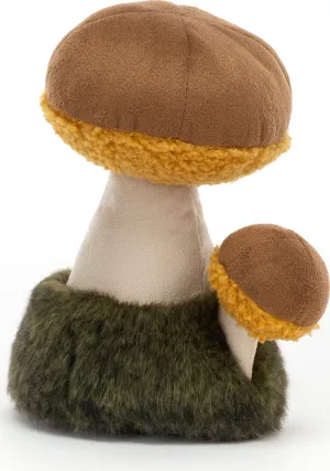 Wild Nature Boletus Mushroom