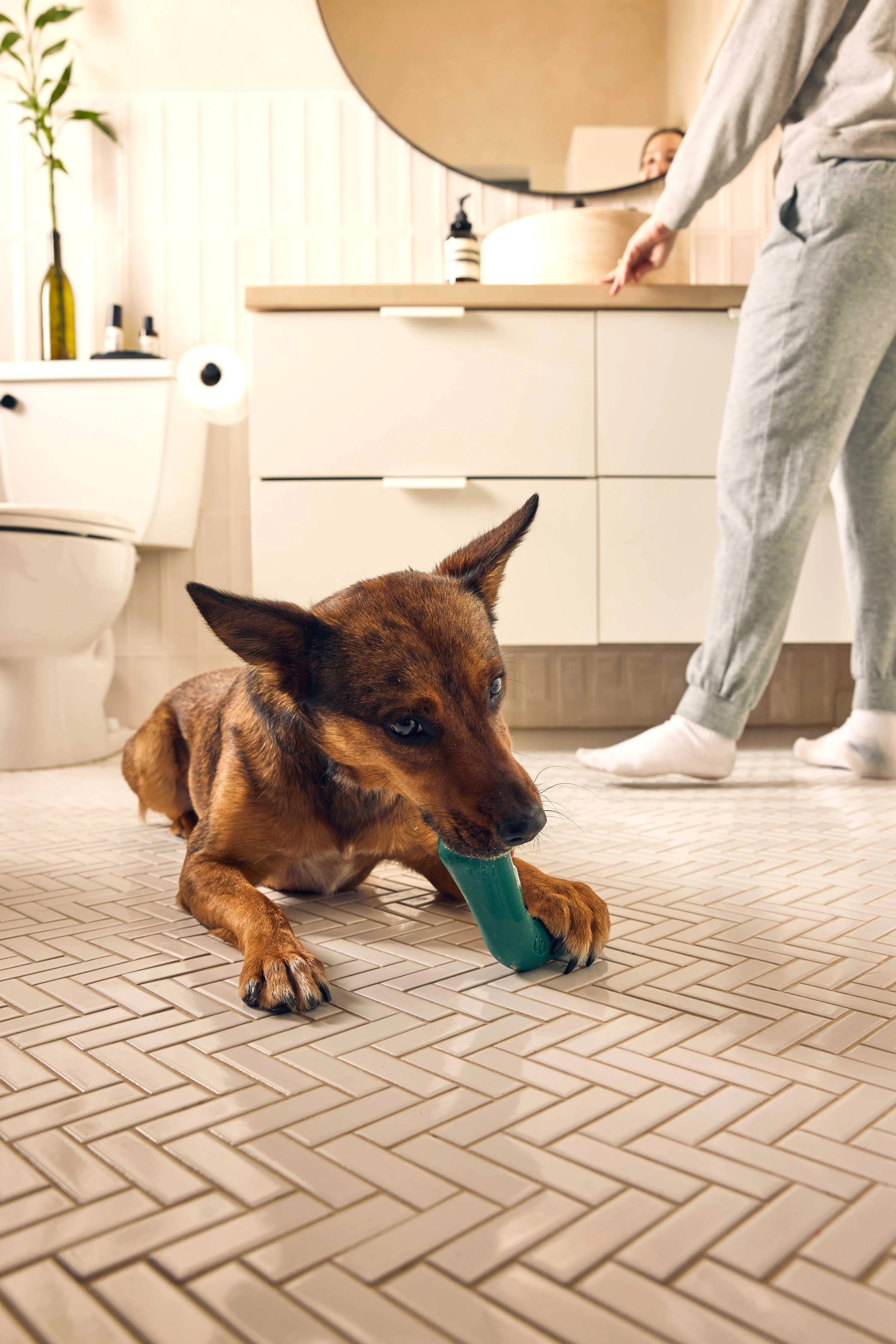 Woof Bite n' Brush