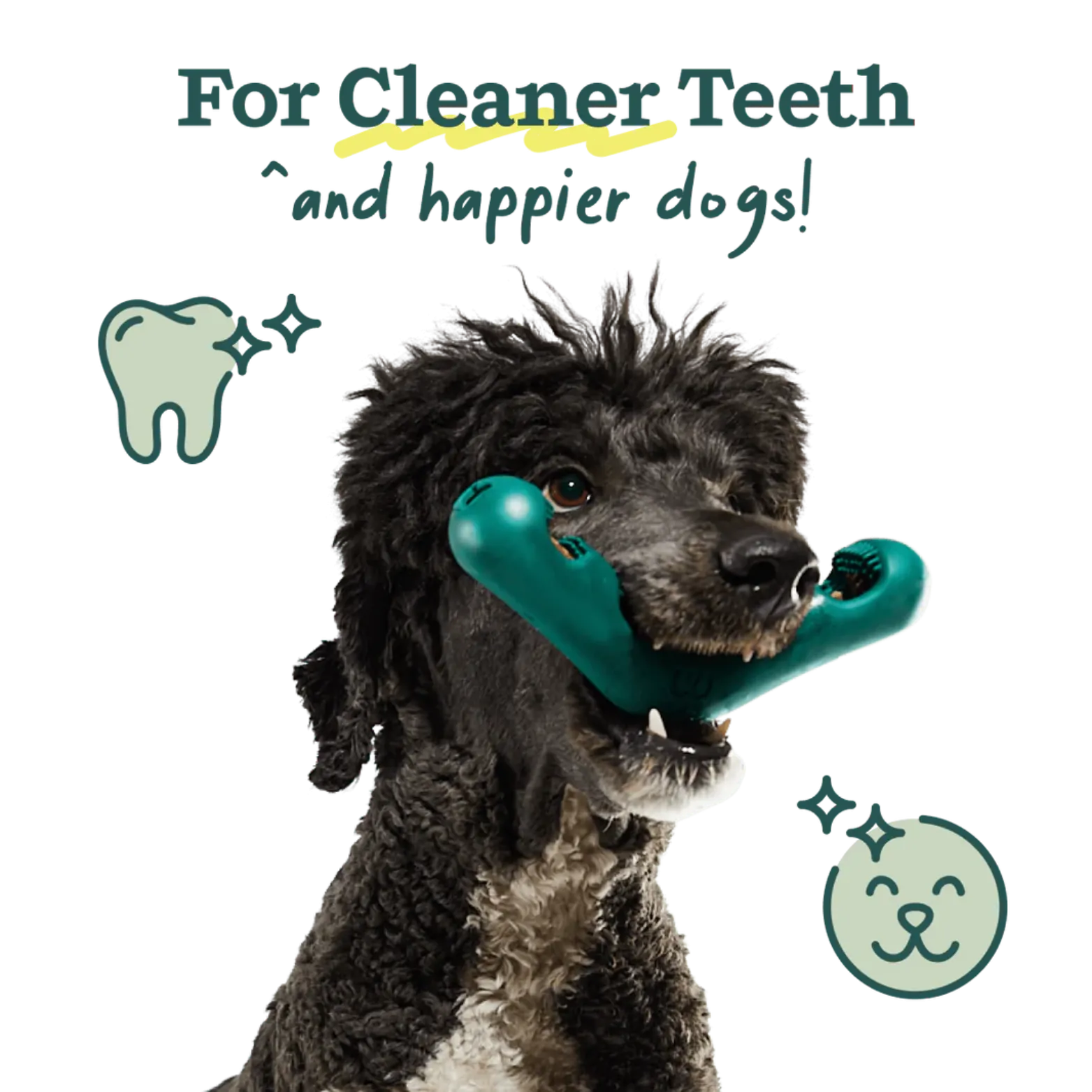 Woof Pet The Bite n' Brush Dog Toy